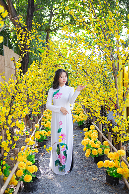 现代改良旗袍美女写真