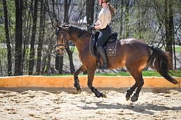 户外马场沙地少女骑马