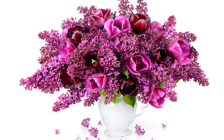 水培紫红色花朵