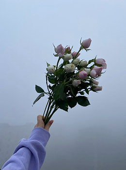 手持含苞待放玫瑰花