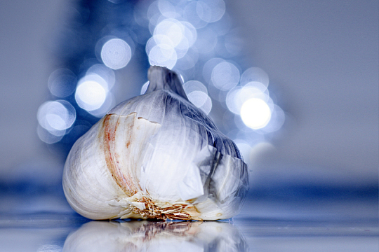 白色大蒜散景