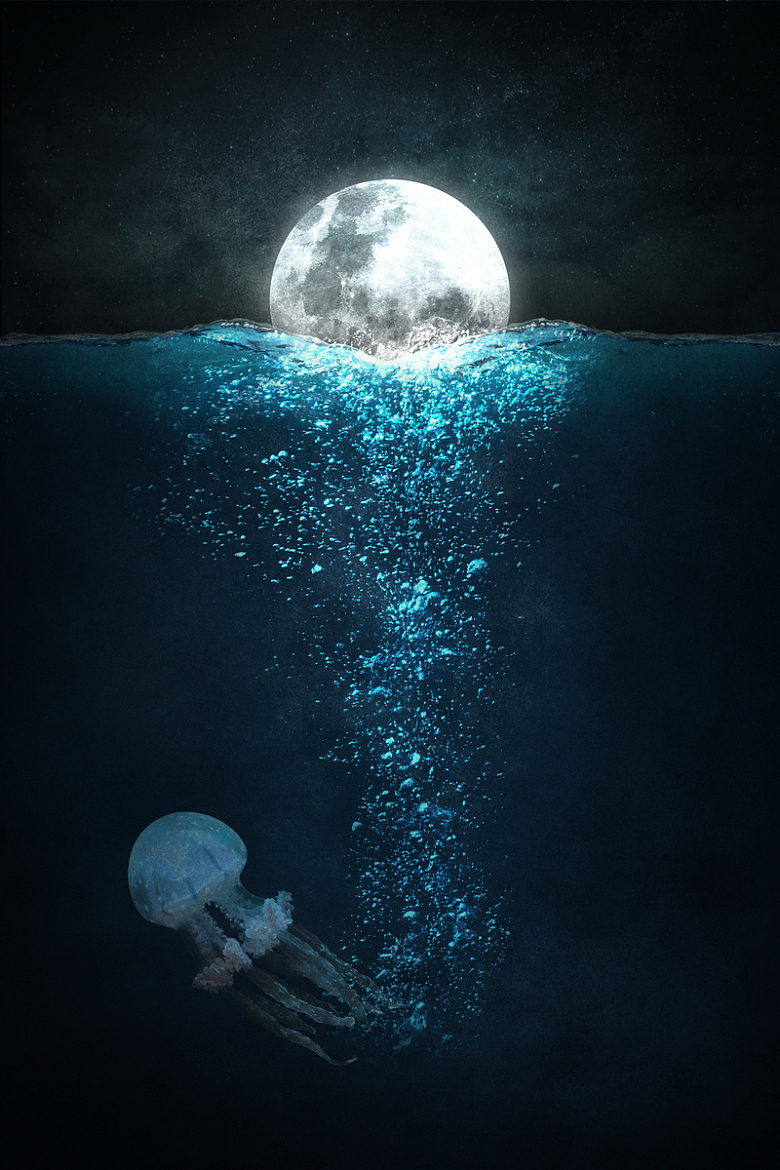 月球海洋水母