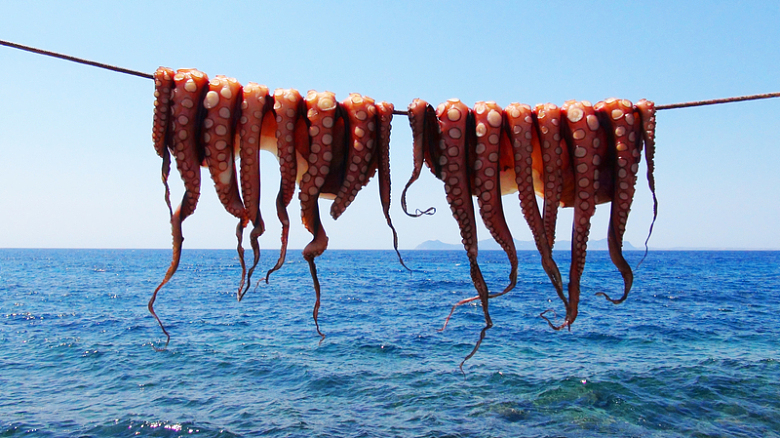 海面上挂着的八爪鱼
