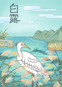 白露芦苇白鹭场景