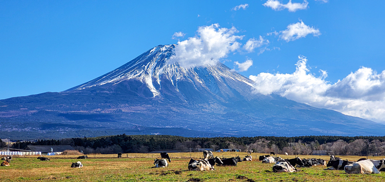 日本富士山旅行风光