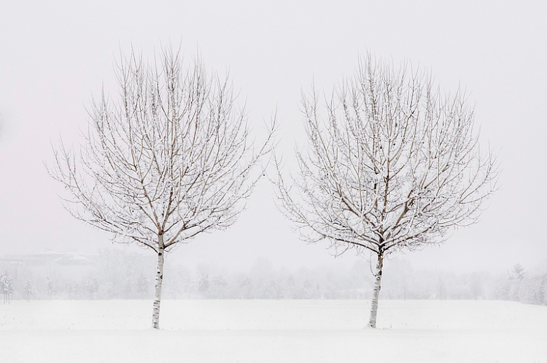 冬季雪树银花意境