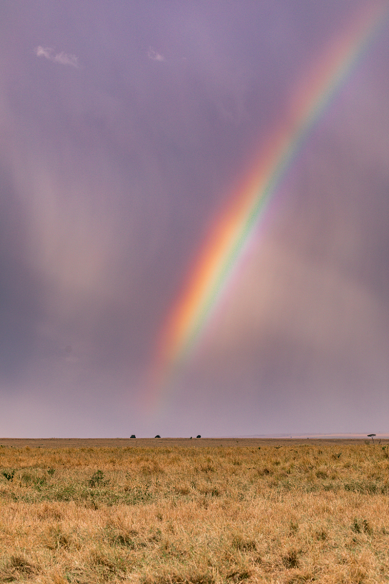 非洲大草原彩虹风景