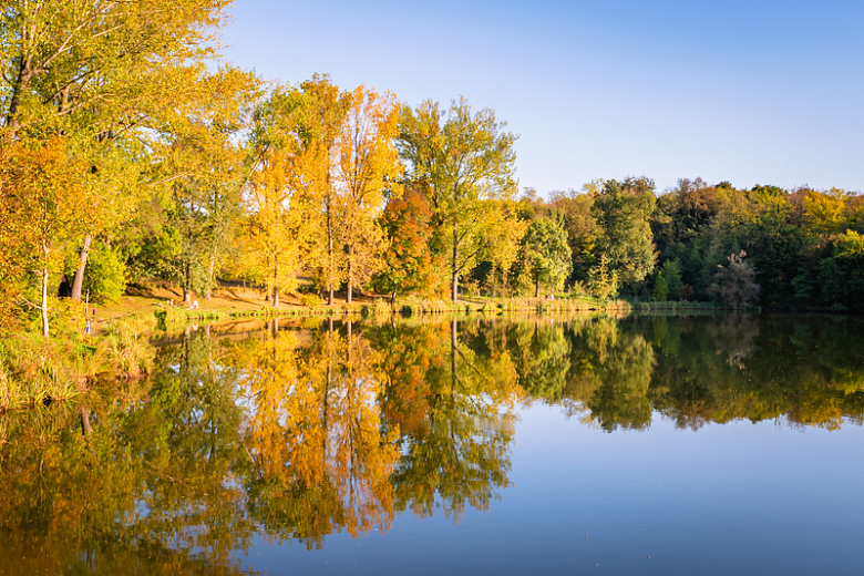 秋天金色树林湖泊风景