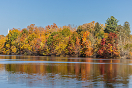 秋天树林江河风景