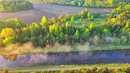 江河两岸茂密的树林