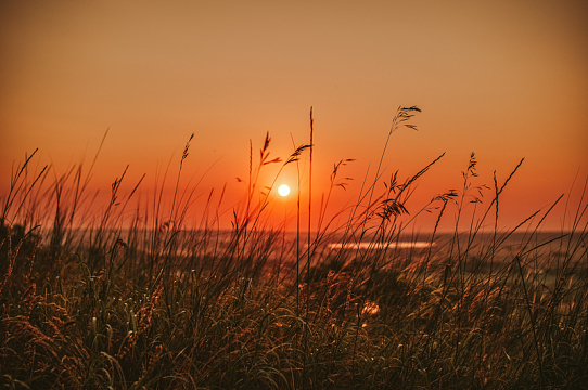 夏日黄昏美景