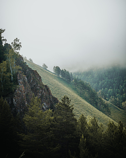 高山绿色茂密树林
