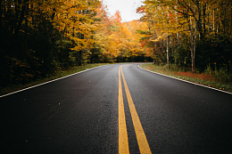 秋季树林公路风景