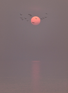 非主流天空夕阳风景