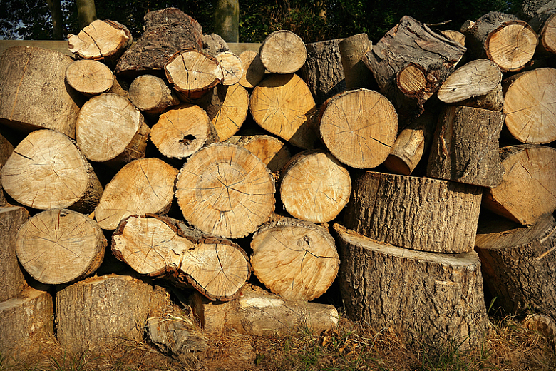 森林木材堆