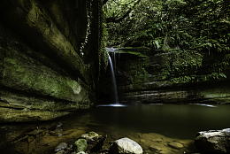 绿色森林山水风景
