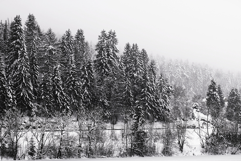 冬季雪山景观黑白