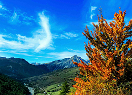秋季阿尔卑斯山风景