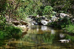  山涧溪水