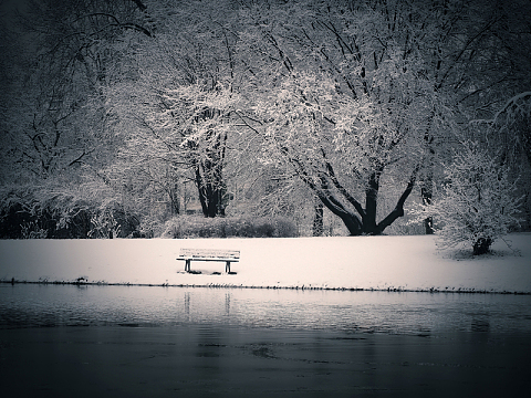 冬天意境雪景