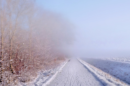 唯美冬天雪景