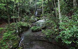 山林细流风景