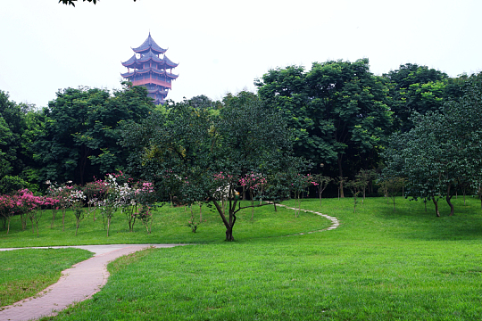 树林草地宝塔