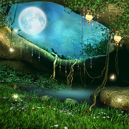 夜晚森林美景
