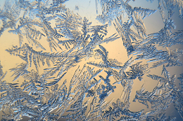 雪冰晶