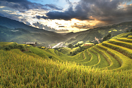 美丽乡村田园风景