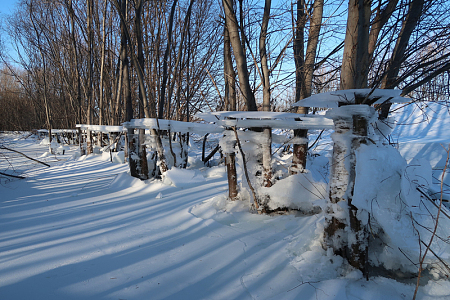 冬季森林冰雪景观