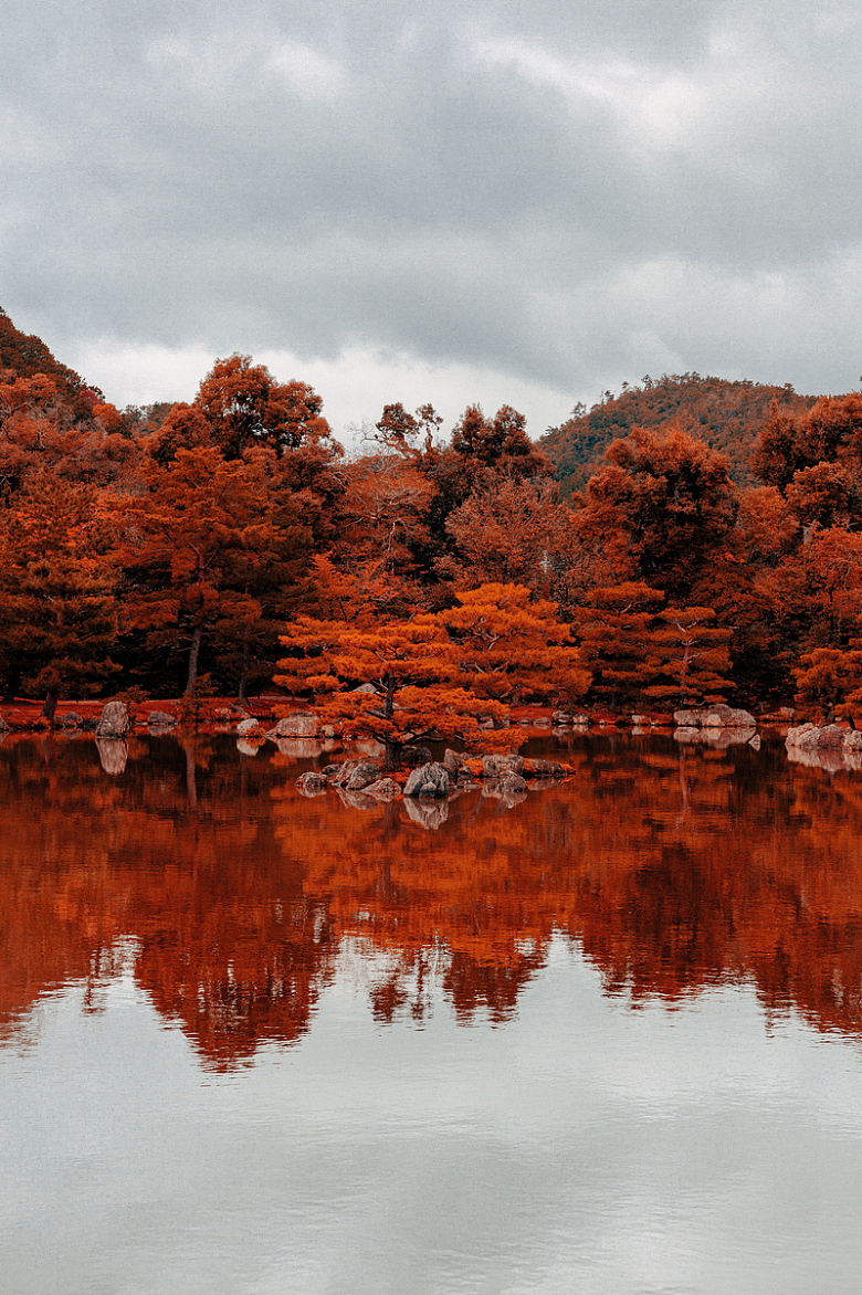 秋天红色树林倒影