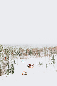 唯美冬季密林雪景