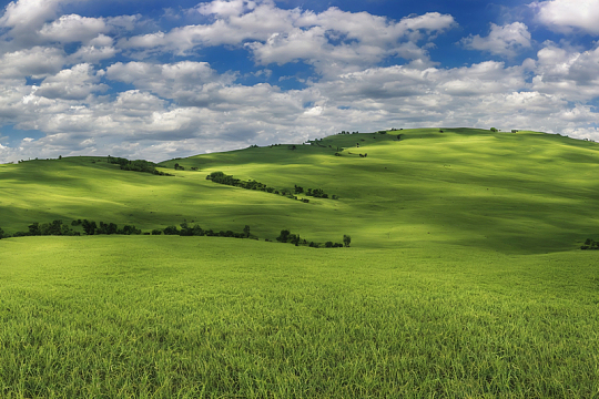 春天绿色原野青草地
