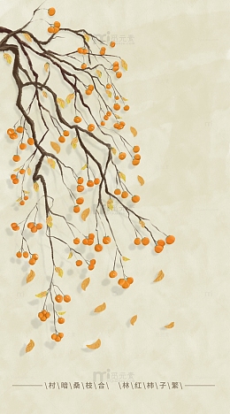 秋天柿子黄叶简约背景插画