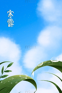 手绘节气植物露水寒露插画海报背景