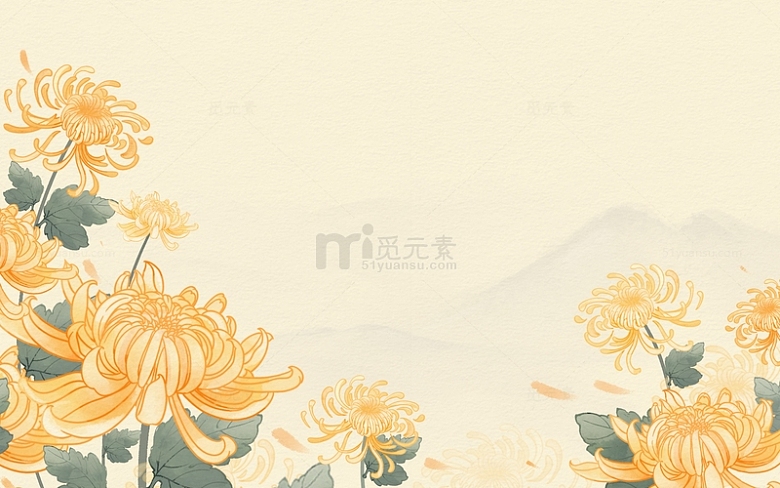 唯美金黄色菊花重阳节背景