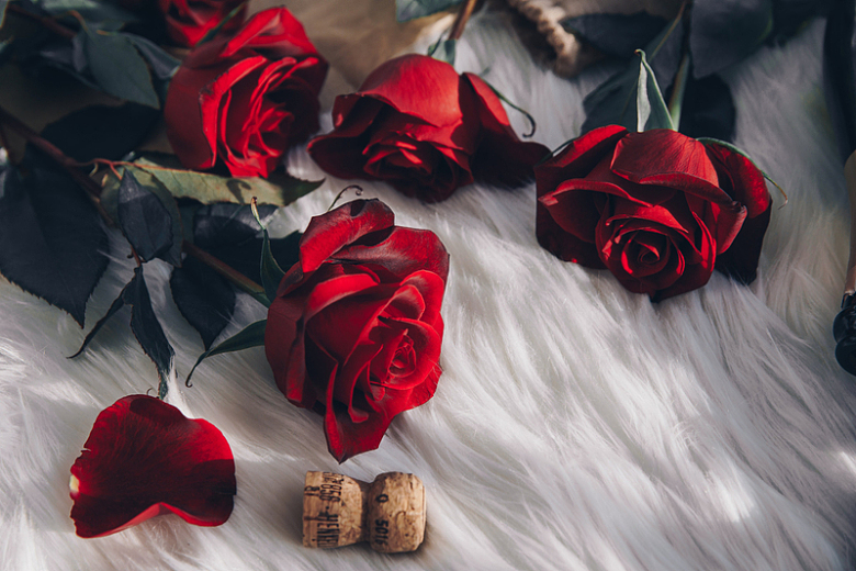 红玫瑰和香槟软木
