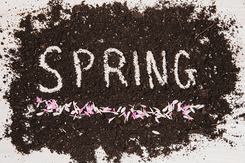 在泥土中书写的spring