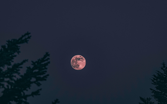 夜空中的月亮