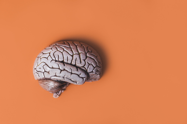 橙色背景前的大脑模型