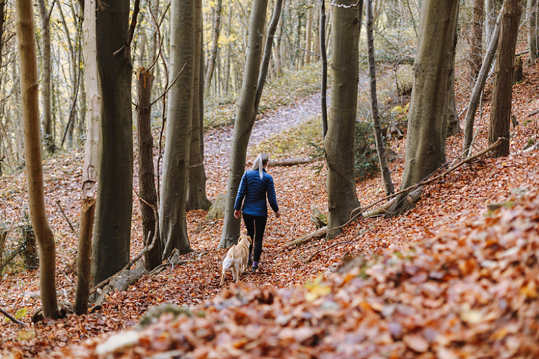 一名妇女带着狗在树林中散步