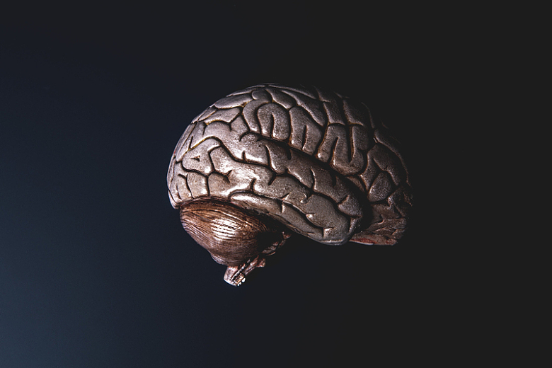 青铜模型大脑