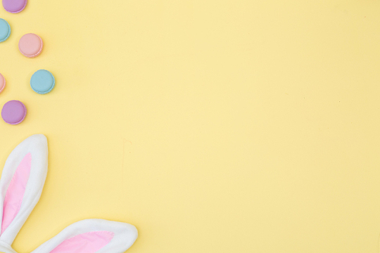 复活节兔子耳朵