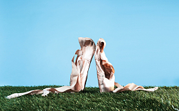 草地芭蕾尖头鞋