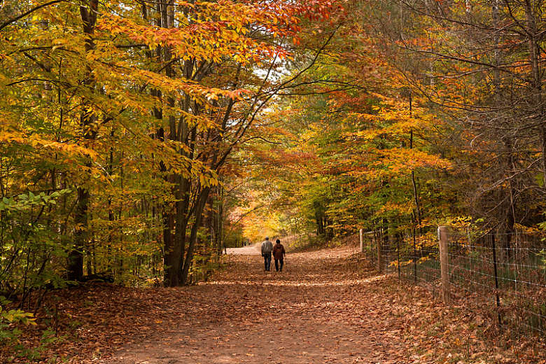 一对夫妇在秋天的小路上漫步