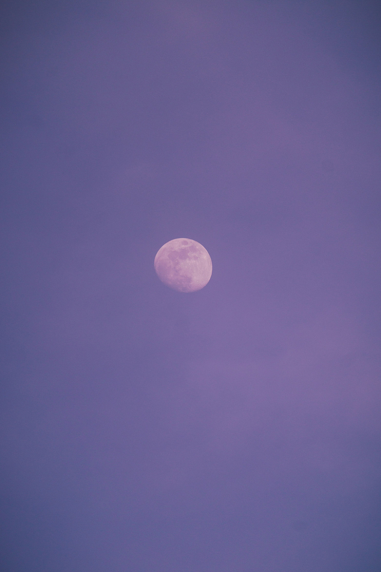 白色的月亮紫色的夜空