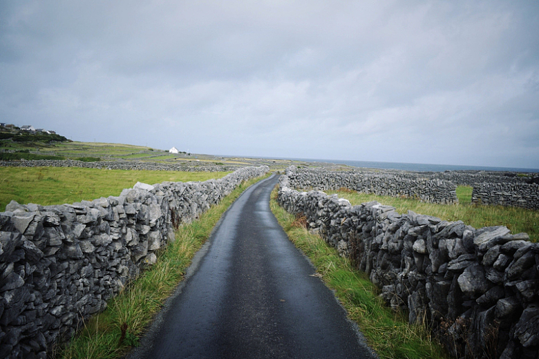 爱尔兰田野里的石墙
