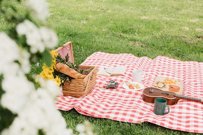 浪漫的草地野餐