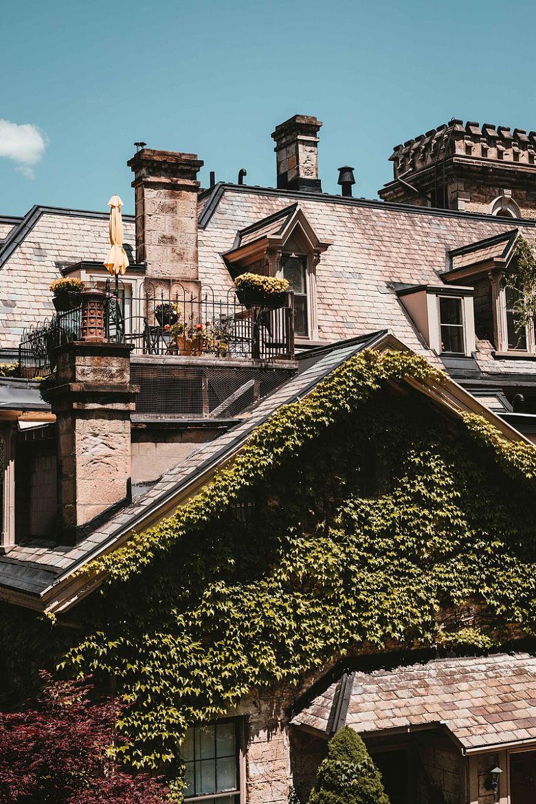 常春藤覆盖的房子顶上的浪漫阳台